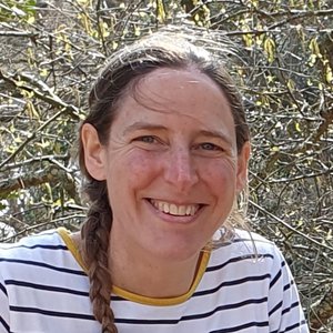 Aster Rowe