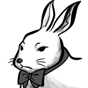 AnUncannyRabbit