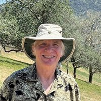 D. Wayne Berman
