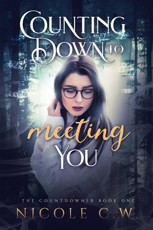 Counting Down To Meeting You
