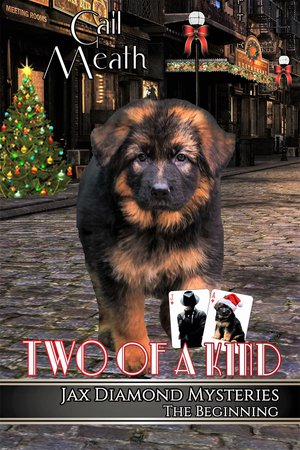 TWO OF A KIND: The Beginning