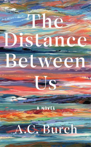 The Distance Between Us: A Novel