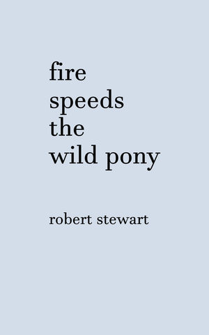 Fire Speeds the Wild Pony