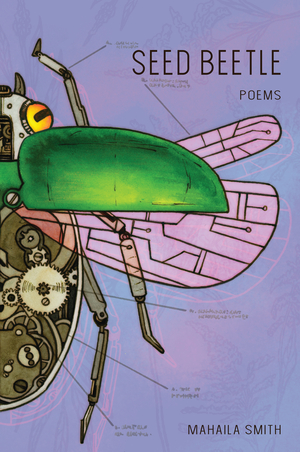 Seed Beetle