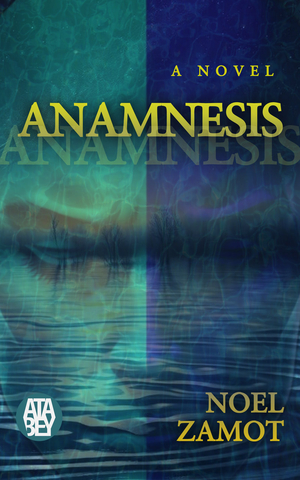 Anamnesis
