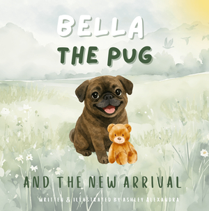 Bella The Pug And the New Arrival