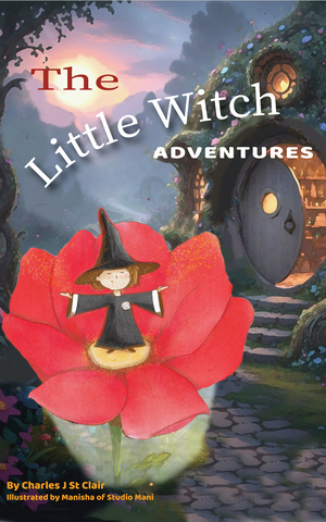 The Little Witch Adventures