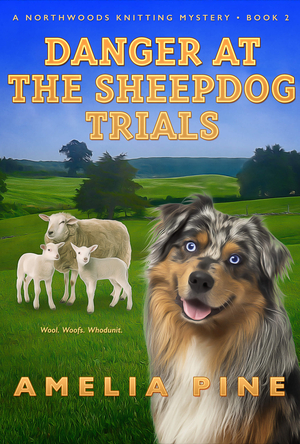 Danger at the Sheepdog Trials