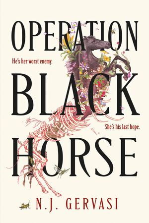 Operation Black Horse