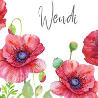 Wendi